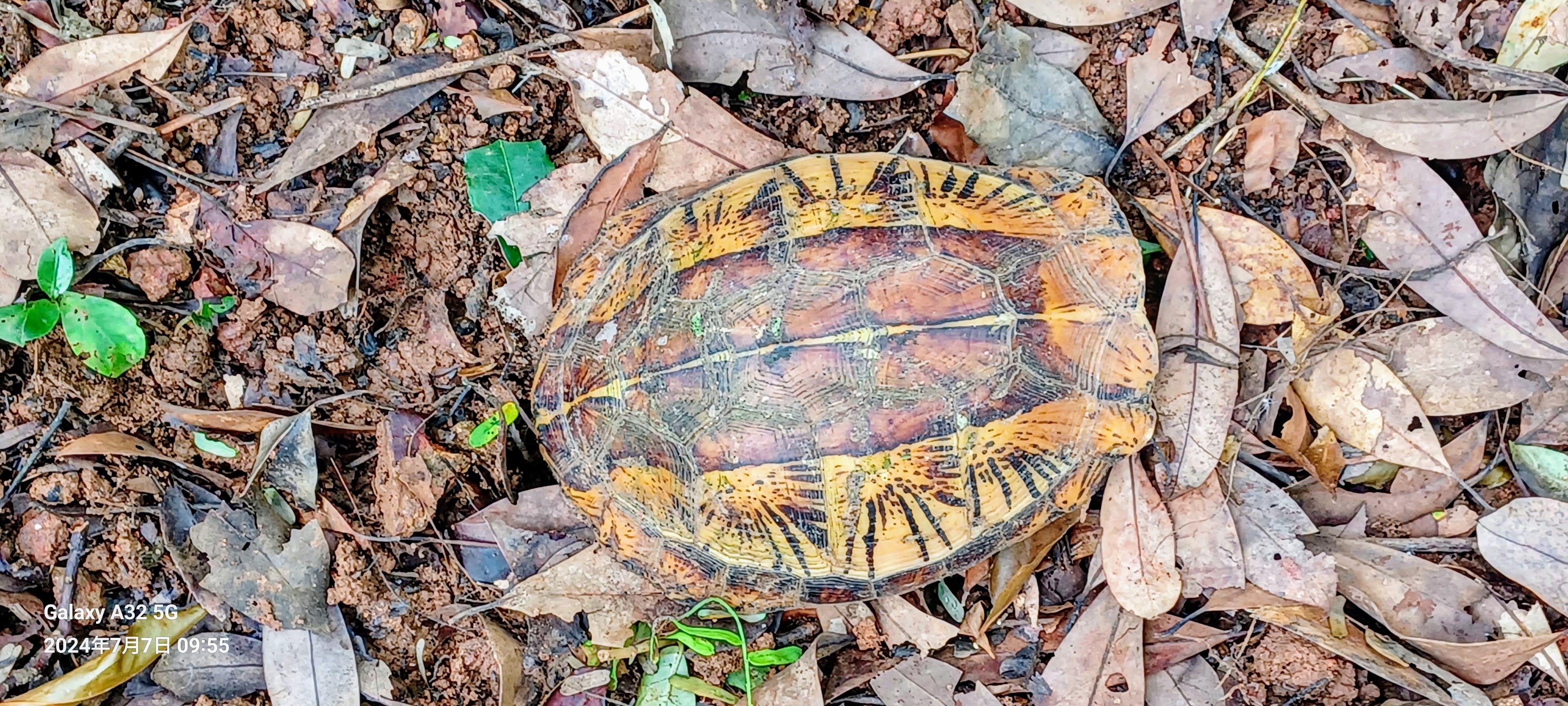 20240707_095515~3.jpg