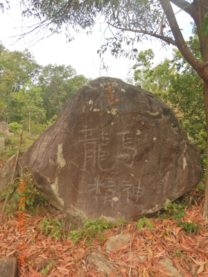DSCN1376.JPG