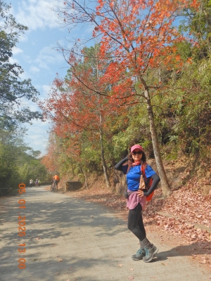 DSCN1432.JPG