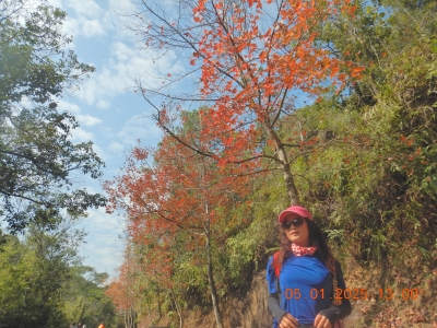 DSCN1433.JPG