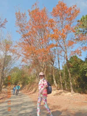 DSCN1437.JPG
