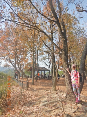 DSCN1443.JPG