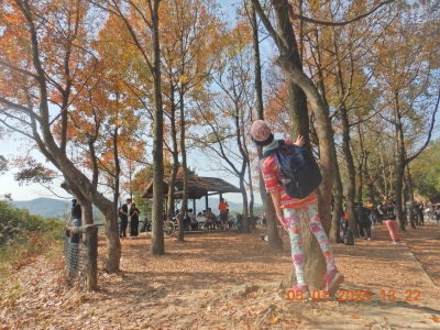 DSCN1447.JPG