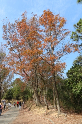 IMG_6712.JPG