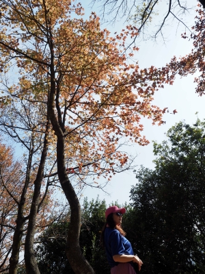 P1010160.JPG