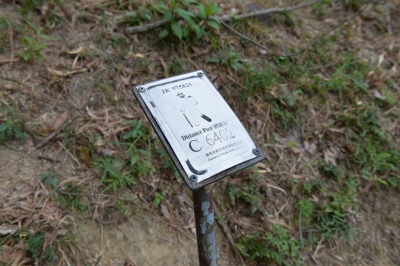 R04_7824.jpg