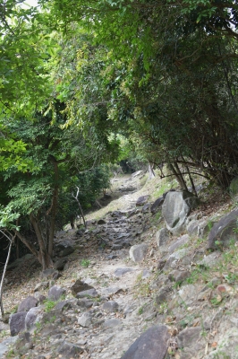 R04_7828.jpg