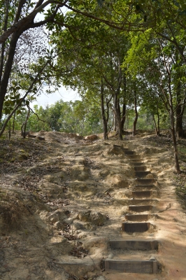 R04_7856.jpg