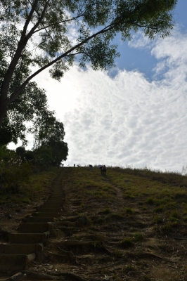 R04_7923.jpg