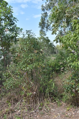 R04_7933.jpg