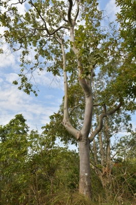 R04_7936.jpg
