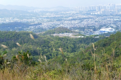 R04_7949.jpg