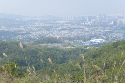 R04_7950.jpg