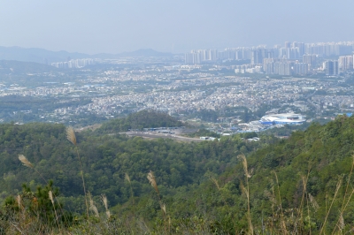 R04_7951.jpg