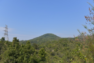 R04_7971.jpg