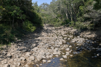 R04_7998.jpg