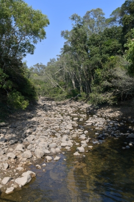 R04_7999.jpg