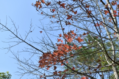 R04_8004.jpg