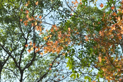 R04_8005.jpg