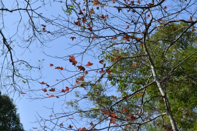 R04_8007.jpg
