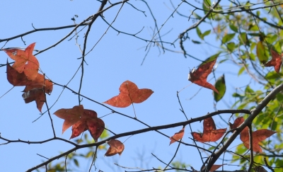 R04_8008.1.jpg