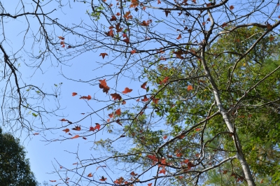 R04_8008.jpg