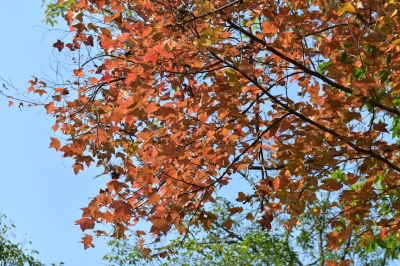 R04_8009.jpg