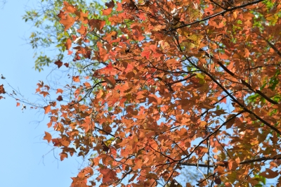 R04_8010.jpg