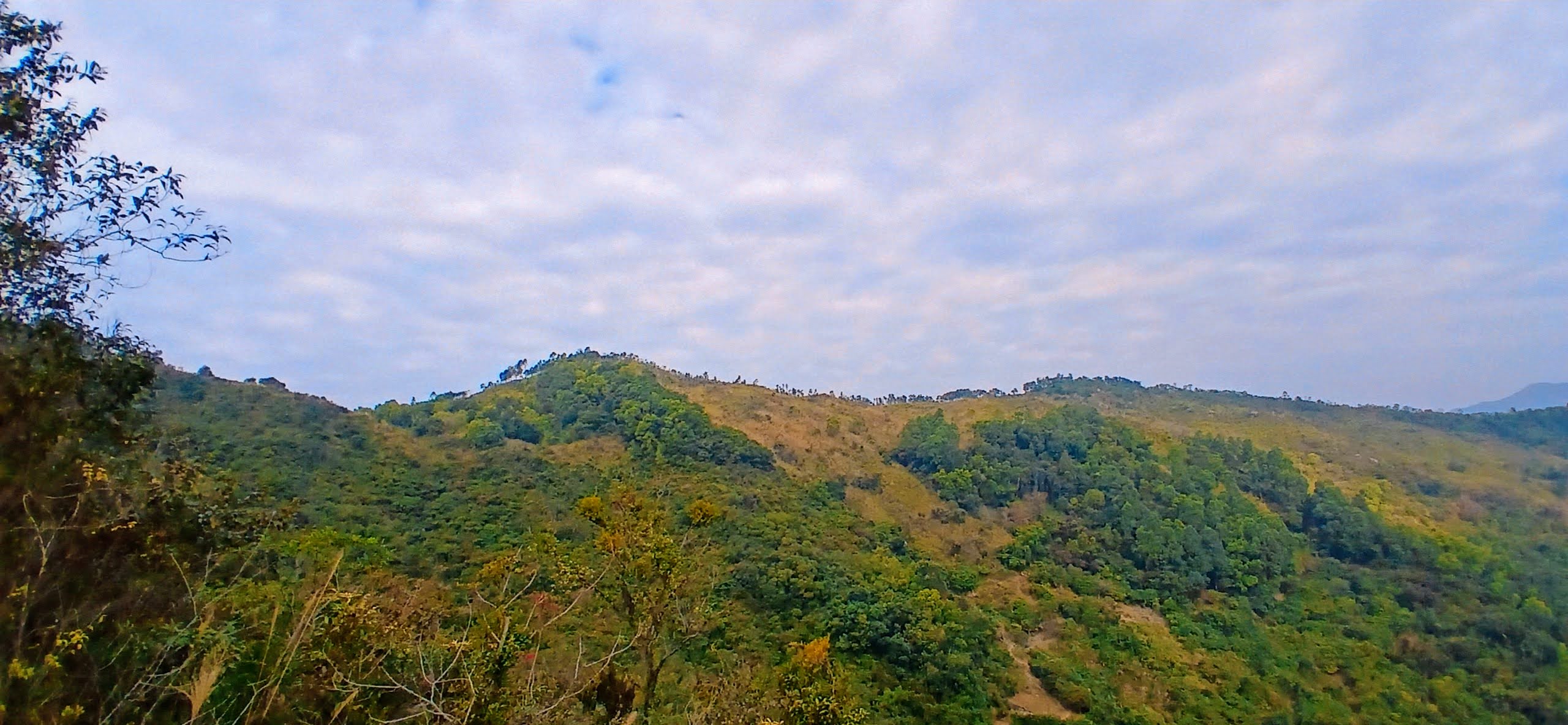 20250105_100119~2.jpg