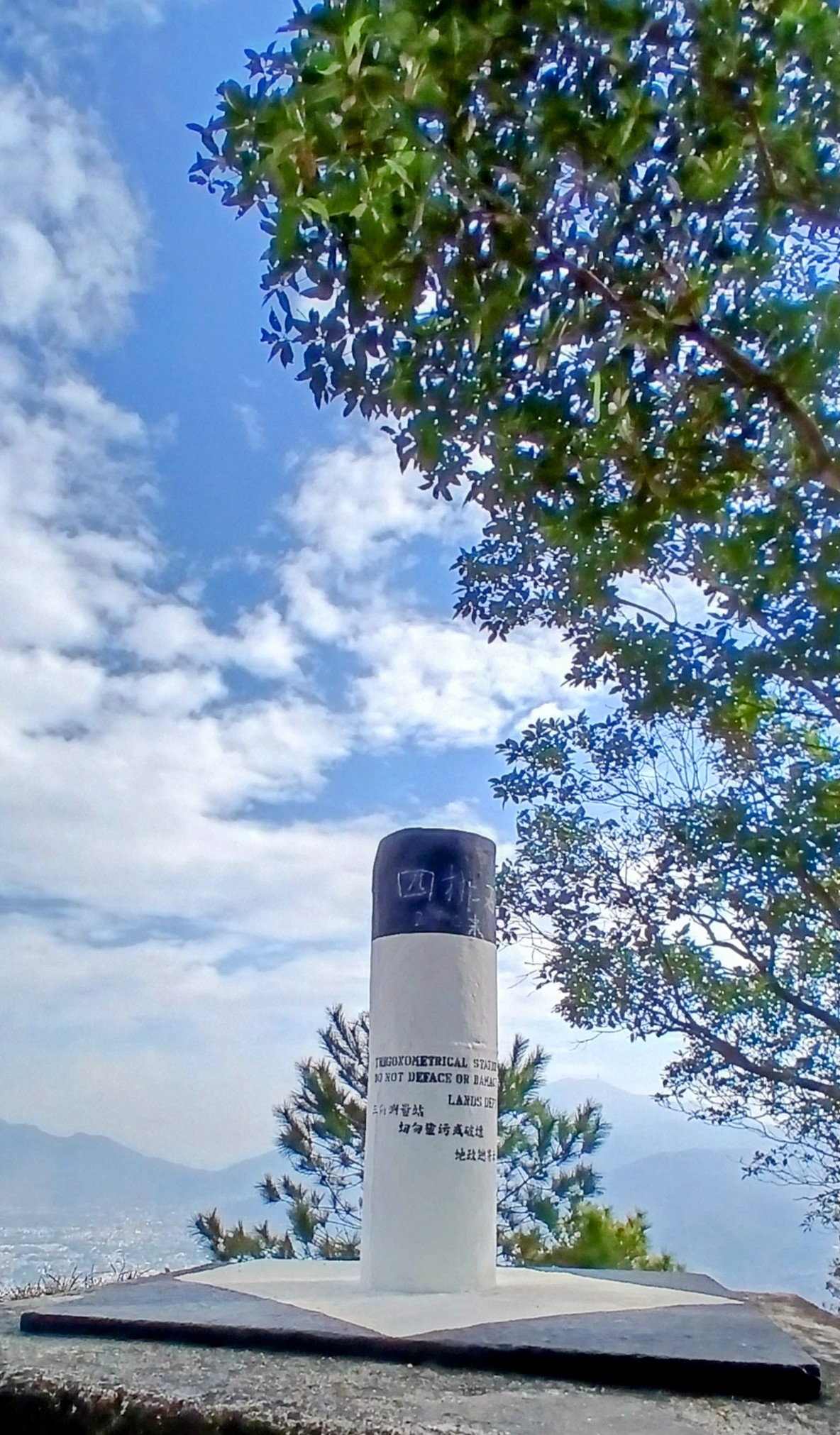 20250105_105010~2.jpg