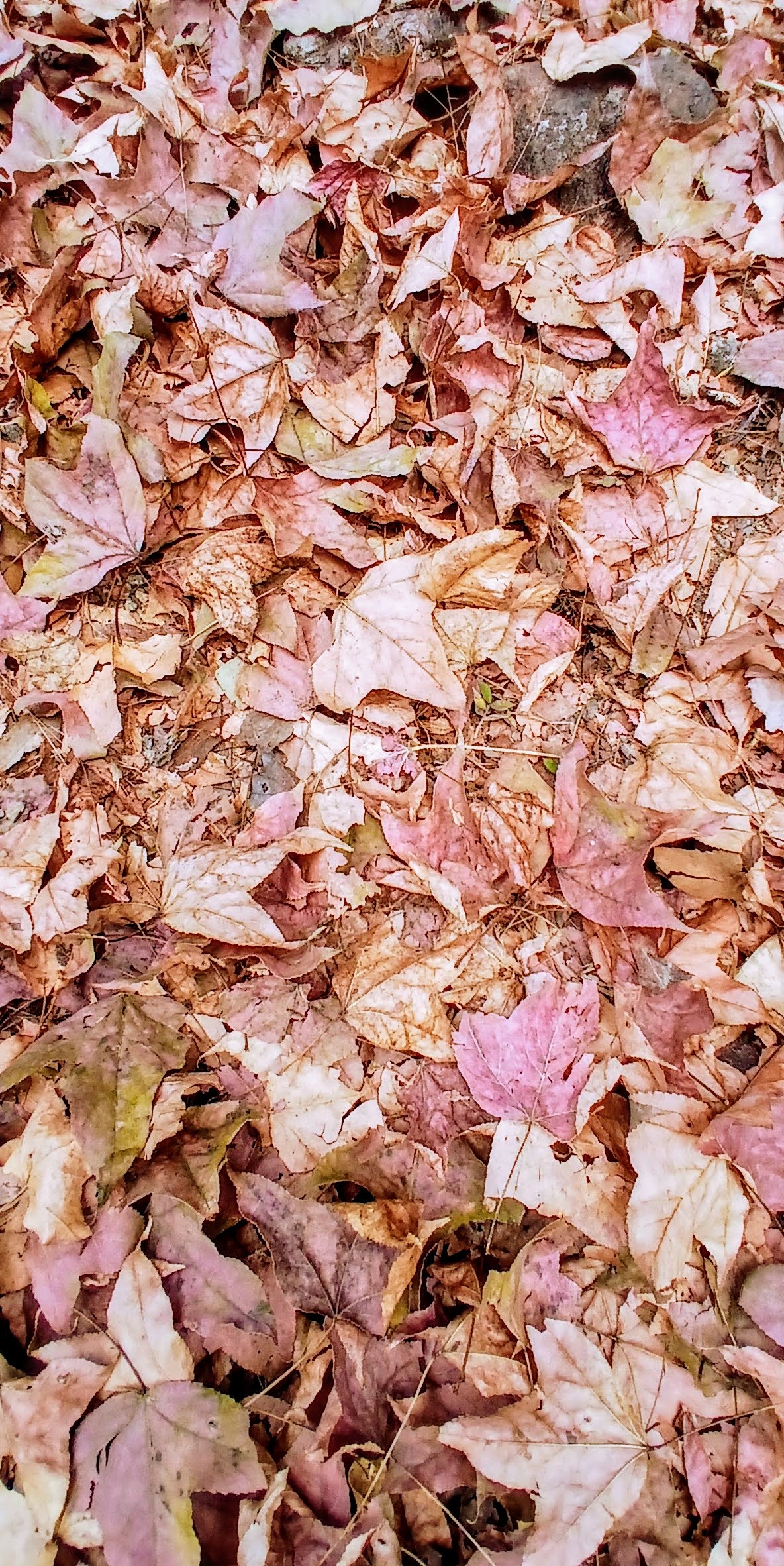 20250105_121335~2.jpg