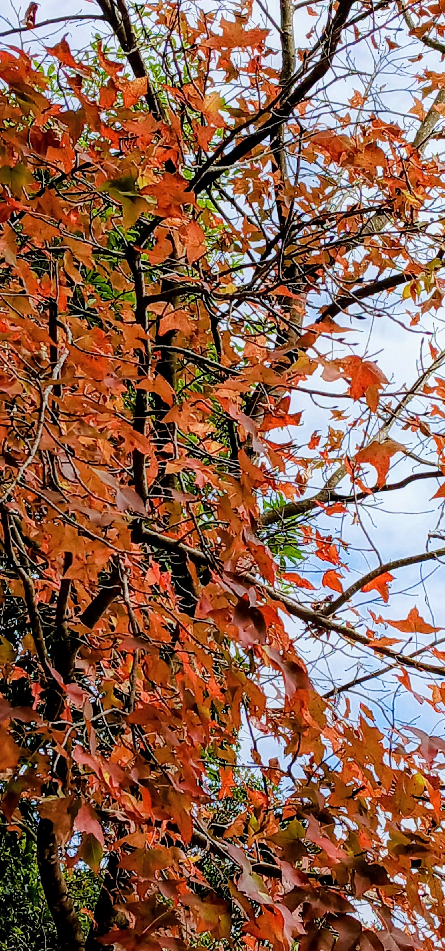 20250105_122544~2.jpg