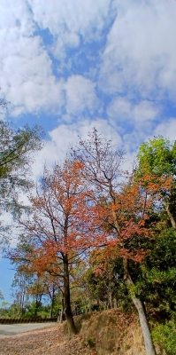 20250105_122436~2.jpg