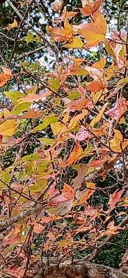 20250105_122608~2.jpg