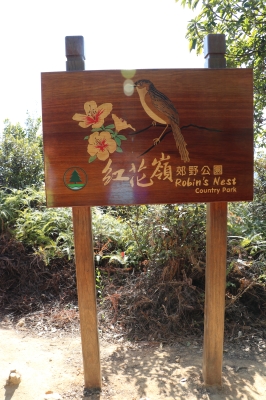 IMG_6863.JPG