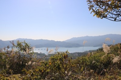 IMG_6864.JPG
