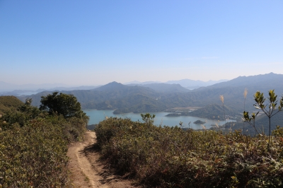 IMG_7005.JPG