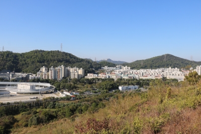 IMG_7100.JPG
