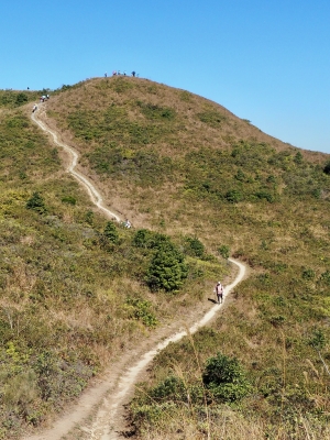 P1010236.JPG