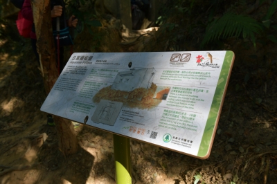 R04_8116.jpg