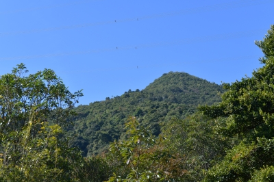 R04_8133.jpg