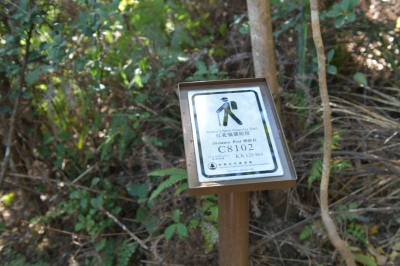 R04_8144.jpg