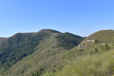 R04_8198.jpg