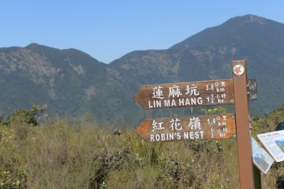 R04_8200.jpg