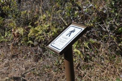 R04_8215.jpg