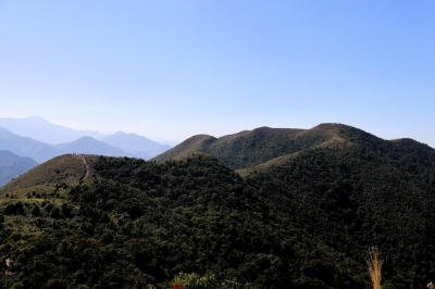 IMG_4845.JPG
