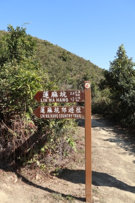 IMG_4898.JPG