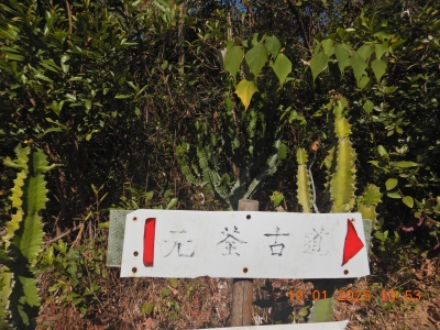 DSCN1764.JPG