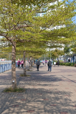 R04_8365.jpg