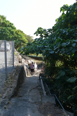 R04_8385.jpg